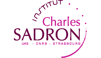 Institut Charles Sadron
